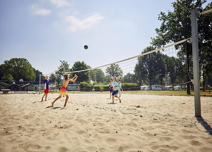 In Limburg Near Maasplassen