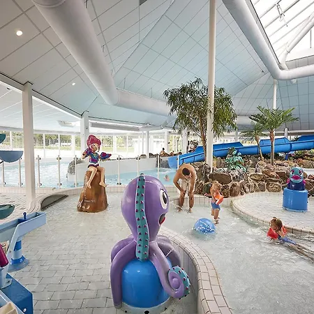 In Limburg Near Maasplassen Roggel